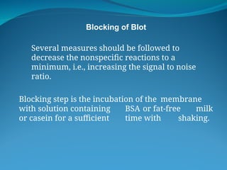 BLOTTING TECHNIQUES:SOUTHERN , WESTERN AND NORTHERN BLOTTING TECHNIQUES ...