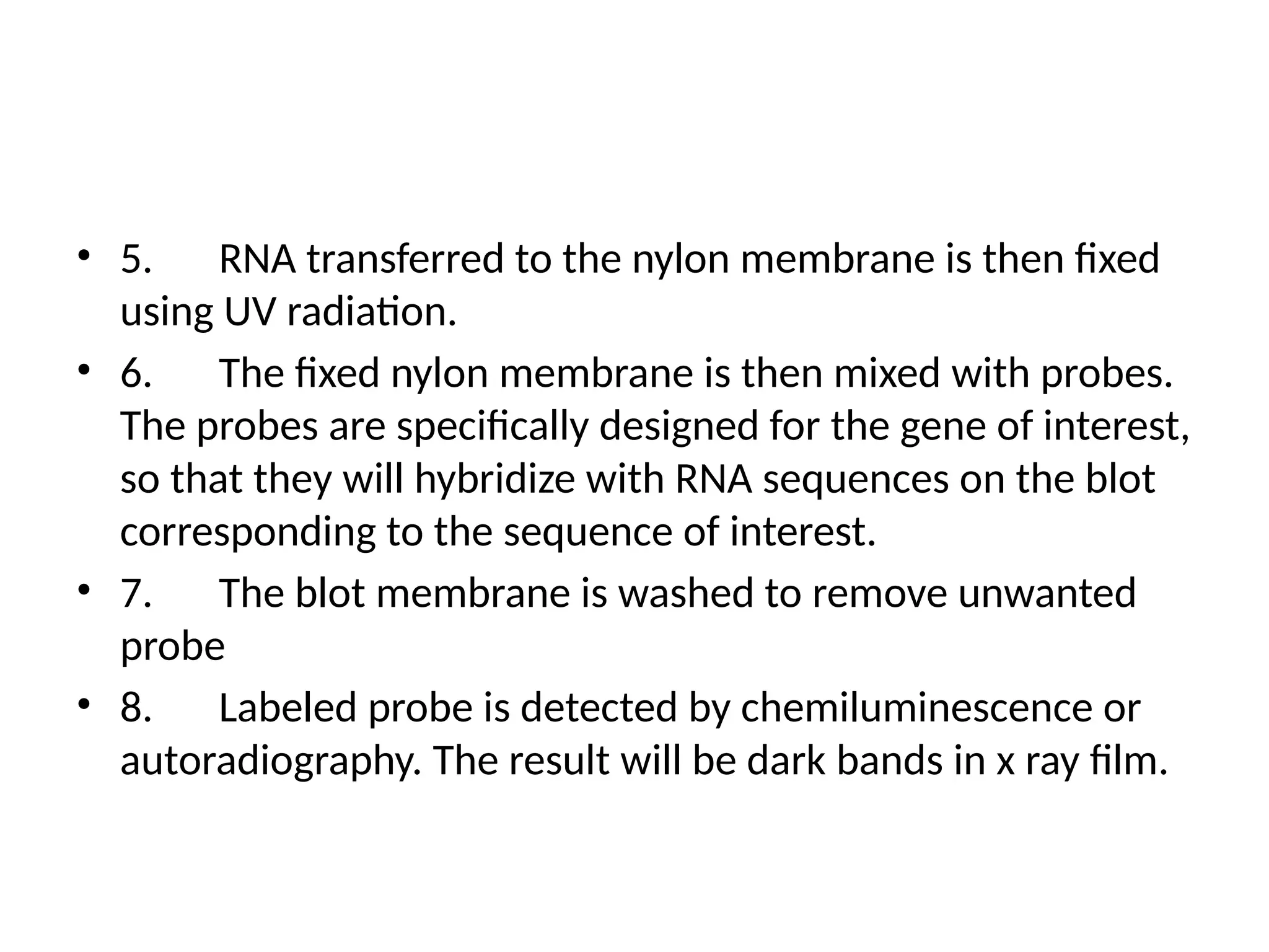 • 5. RNA transferred to the nylon membrane is then fixed
using UV radiation.
• 6. The fixed nylon membrane is then mixed with probes.
The probes are specifically designed for the gene of interest,
so that they will hybridize with RNA sequences on the blot
corresponding to the sequence of interest.
• 7. The blot membrane is washed to remove unwanted
probe
• 8. Labeled probe is detected by chemiluminescence or
autoradiography. The result will be dark bands in x ray film.
 