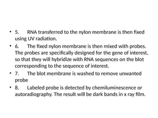 • 5. RNA transferred to the nylon membrane is then fixed
using UV radiation.
• 6. The fixed nylon membrane is then mixed with probes.
The probes are specifically designed for the gene of interest,
so that they will hybridize with RNA sequences on the blot
corresponding to the sequence of interest.
• 7. The blot membrane is washed to remove unwanted
probe
• 8. Labeled probe is detected by chemiluminescence or
autoradiography. The result will be dark bands in x ray film.
 