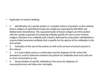 • Application of western blotting:
• 1. Identification of a specific protein in a complex mixture of proteins. In this method,
known antigens of well-defined molecular weight are separated by SDS-PAGE and
blotted onto nitrocellulose. The separated bands of known antigens are then probed
with the sample suspected of containing antibody specific for one or more of these
antigens. Reaction of an antibody with a band is detected by using either radiolabeled or
enzyme-linked secondary antibody that is specific for the species of the antibodies in the
test sample.
• 2. Estimation of the size of the protein as well as the amount of protein present in
the mixture.
• 3. It is most widely used as a confirmatory test for diagnosis of HIV, where this
procedure is used to determine whether the patient has antibodies that react with one
or more viral proteins or not.
• 4. Demonstration of specific antibodies in the serum for diagnosis of
neurocysticercosis and tubercular meningitis.
 