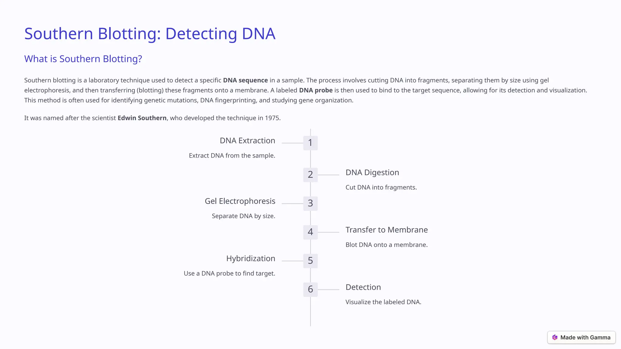Western and Southern blotting Easy Language Biotechnology 6th Sem | PPTX