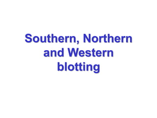 Southern, Northern
and Western
blotting
 