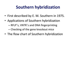 Southern hybridization
• First described by E. M. Southern in 1975.
• Applications of Southern hybridization
– RFLP’s, VNTR’s and DNA fingerprinting
– Checking of the gene knockout mice
• The flow chart of Southern hybridization
 
