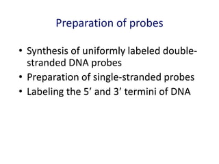 Preparation of probes
• Synthesis of uniformly labeled double-
stranded DNA probes
• Preparation of single-stranded probes
• Labeling the 5 and 3 termini of DNA
 
