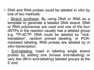 • DNA and RNA probes could be labeled in vitro by
one of two methods:
- Strand synthesis. By using DNA or RNA as a
template to generate a labeled DNA strand. DNA
or RNA polymerase are used and one of the four
dNTPs in the reaction usually has a labeled group
e.g. 32P-dCTP. DNA could be labeled by “nick-
translation”, random primed labeling, or PCR-
mediated labeling. RNA probes are labeled by in
vitro transcription.
- End-labeling: Used in labeling single strand
probes by adding one (kinase end-labeling) or
very few (fill-in end-labeling) labeled groups at the
5’ end.
 