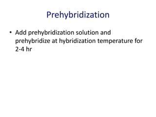 Prehybridization
• Add prehybridization solution and
prehybridize at hybridization temperature for
2-4 hr
 