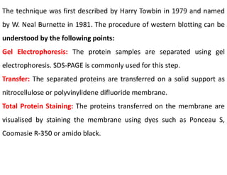 The technique was first described by Harry Towbin in 1979 and named
by W. Neal Burnette in 1981. The procedure of western blotting can be
understood by the following points:
Gel Electrophoresis: The protein samples are separated using gel
electrophoresis. SDS-PAGE is commonly used for this step.
Transfer: The separated proteins are transferred on a solid support as
nitrocellulose or polyvinylidene difluoride membrane.
Total Protein Staining: The proteins transferred on the membrane are
visualised by staining the membrane using dyes such as Ponceau S,
Coomasie R-350 or amido black.
 