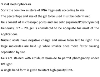 3. Gel electrophoresis
Sorts the complex mixture of DNA fragments according to size.
The percentage and size of the gel to be used must be determined.
Gels consist of microscopic pores and are solid (agarose/Polyacrylmide)
Generally, 0.7 – 2% gel is considered to be adequate for most of the
applications.
Nucleic acids have negative charge and move from left to right. The
large molecules are held up while smaller ones move faster causing
separation by size.
Gels are stained with ethidium bromide to permit photography under
UV light.
A single band form is given to intact high quality DNA.
 