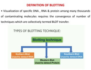 DEFINITION OF BLOTTING
• Visualization of specific DNA , RNA & protein among many thousands
of contaminating molecules requires the convergence of number of
techniques which are collectively termed BLOT transfer.
 