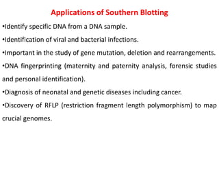 Applications of Southern Blotting
•Identify specific DNA from a DNA sample.
•Identification of viral and bacterial infections.
•Important in the study of gene mutation, deletion and rearrangements.
•DNA fingerprinting (maternity and paternity analysis, forensic studies
and personal identification).
•Diagnosis of neonatal and genetic diseases including cancer.
•Discovery of RFLP (restriction fragment length polymorphism) to map
crucial genomes.
 