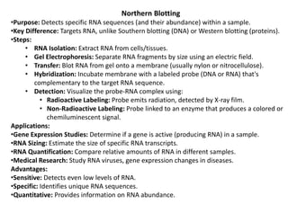 Northern Blotting
•Purpose: Detects specific RNA sequences (and their abundance) within a sample.
•Key Difference: Targets RNA, unlike Southern blotting (DNA) or Western blotting (proteins).
•Steps:
• RNA Isolation: Extract RNA from cells/tissues.
• Gel Electrophoresis: Separate RNA fragments by size using an electric field.
• Transfer: Blot RNA from gel onto a membrane (usually nylon or nitrocellulose).
• Hybridization: Incubate membrane with a labeled probe (DNA or RNA) that's
complementary to the target RNA sequence.
• Detection: Visualize the probe-RNA complex using:
• Radioactive Labeling: Probe emits radiation, detected by X-ray film.
• Non-Radioactive Labeling: Probe linked to an enzyme that produces a colored or
chemiluminescent signal.
Applications:
•Gene Expression Studies: Determine if a gene is active (producing RNA) in a sample.
•RNA Sizing: Estimate the size of specific RNA transcripts.
•RNA Quantification: Compare relative amounts of RNA in different samples.
•Medical Research: Study RNA viruses, gene expression changes in diseases.
Advantages:
•Sensitive: Detects even low levels of RNA.
•Specific: Identifies unique RNA sequences.
•Quantitative: Provides information on RNA abundance.
 