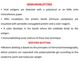IMMUNOBLOTTING
• Viral antigens are detected with a polyclonal or an MAb onto
nitrocellulose paper.
• After incubation, the protein bands (immune complexes) are
visualized with peroxides-conjugated protein and a color reagent.
• A color develops in the bands where the antibody binds to the
antigen.
• Immunoblotting assay mixture of these two technique.
WESTERN BLOTTING
•Western blotting is based on the principles of immunochromatography,
where proteins are separated into polyacrylamide gel according to the
isoelectric point and molecular weight.
 