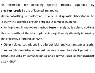 •A technique for detecting specific proteins separated by
electrophoresis by use of labeled antibodies.
•Immunoblotting is performed chiefly in diagnostic laboratories to
identify the desirable protein antigens in complex mixtures.
• An improved immunoblot method Zestern analysis, is able to address
this issue without the electrophoresis step, thus significantly improving
the efficiency of protein analysis.
• Other related techniques include dot blot analysis, zestern analysis,
immunohistochemistry where antibodies are used to detect proteins in
tissues and cells by immunostaining and enzyme-linked immunosorbent
assay (ELISA)
 
