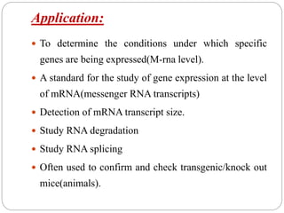 Application:
 To determine the conditions under which specific
genes are being expressed(M-rna level).
 A standard for the study of gene expression at the level
of mRNA(messenger RNA transcripts)
 Detection of mRNA transcript size.
 Study RNA degradation
 Study RNA splicing
 Often used to confirm and check transgenic/knock out
mice(animals).
 
