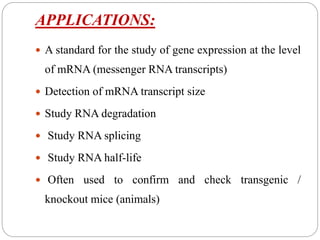 APPLICATIONS:
 A standard for the study of gene expression at the level
of mRNA (messenger RNA transcripts)
 Detection of mRNA transcript size
 Study RNA degradation
 Study RNA splicing
 Study RNA half-life
 Often used to confirm and check transgenic /
knockout mice (animals)
 