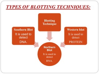 Blotting & its types | PPTX