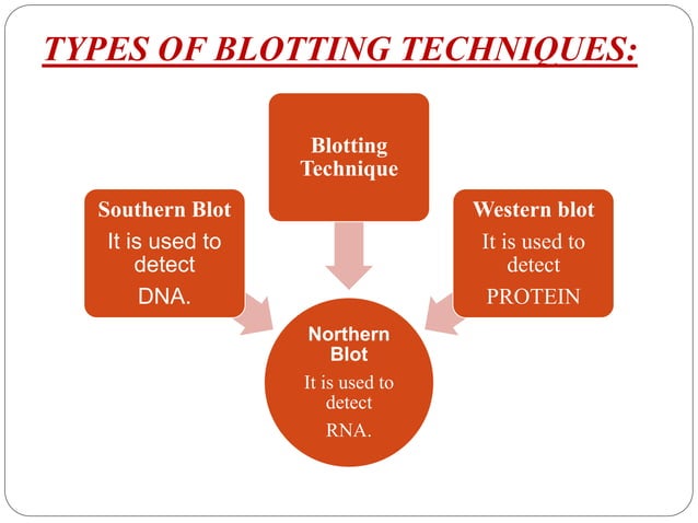 Blotting & its types | PPTX | Chemistry | Science