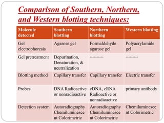 Comparison of Southern, Northern,
and Western blotting techniques:
Molecule
detected
Southern
blotting
Northern
blotting
Western blotting
Gel
electrophoresis
Agarose gel Formaldehyde
agarose gel
Polyacrylamide
gel
Gel pretreatment Depurination,
Denaturation, &
neutralization
---------- ---------
Blotting method Capillary transfer Capillary transfer Electric transfer
Probes DNA Radioactive
or nonradioactive
cDNA, cRNA
Radioactive or
nonradioactive
primary antibody
Detection system Autoradiography
Chemiluminesce
nt Colorimetric
Autoradiography
Chemiluminesce
nt Colorimetric
Chemiluminesce
nt Colorimetric
 