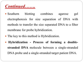Continued…….
 Southern blotting combines agarose gel
electrophoresis for size separation of DNA with
methods to transfer the size separated DNA to a filter
membrane for probe hybridization.
 The key to this method is Hybridization.
 Hybridization - Process of forming a double-
stranded DNA molecule between a single-stranded
DNA probe and a single-stranded target patient DNA.
 