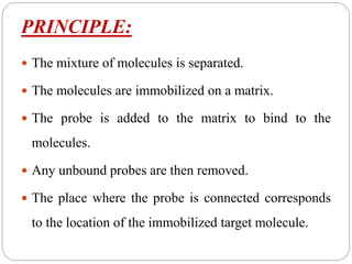 PRINCIPLE:
 The mixture of molecules is separated.
 The molecules are immobilized on a matrix.
 The probe is added to the matrix to bind to the
molecules.
 Any unbound probes are then removed.
 The place where the probe is connected corresponds
to the location of the immobilized target molecule.
 
