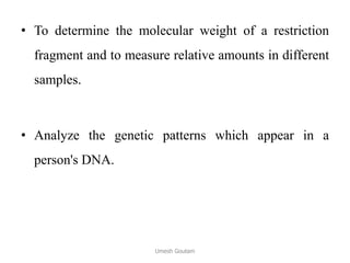 • To determine the molecular weight of a restriction
fragment and to measure relative amounts in different
samples.
• Analyze the genetic patterns which appear in a
person's DNA.
Umesh Goutam
 