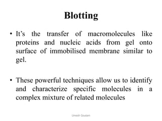 Blotting
• It’s the transfer of macromolecules like
proteins and nucleic acids from gel onto
surface of immobilised membrane similar to
gel.
• These powerful techniques allow us to identify
and characterize specific molecules in a
complex mixture of related molecules
Umesh Goutam
 