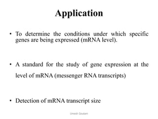Application
• To determine the conditions under which specific
genes are being expressed (mRNA level).
• A standard for the study of gene expression at the
level of mRNA (messenger RNA transcripts)
• Detection of mRNA transcript size
Umesh Goutam
 