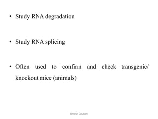 • Study RNA degradation
• Study RNA splicing
• Often used to confirm and check transgenic/
knockout mice (animals)
Umesh Goutam
 