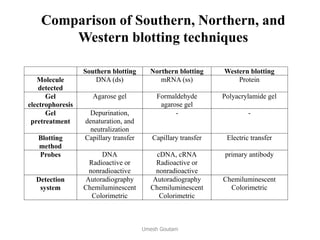 Comparison of Southern, Northern, and
Western blotting techniques
Southern blotting Northern blotting Western blotting
Molecule
detected
DNA (ds) mRNA (ss) Protein
Gel
electrophoresis
Agarose gel Formaldehyde
agarose gel
Polyacrylamide gel
Gel
pretreatment
Depurination,
denaturation, and
neutralization
- -
Blotting
method
Capillary transfer Capillary transfer Electric transfer
Probes DNA
Radioactive or
nonradioactive
cDNA, cRNA
Radioactive or
nonradioactive
primary antibody
Detection
system
Autoradiography
Chemiluminescent
Colorimetric
Autoradiography
Chemiluminescent
Colorimetric
Chemiluminescent
Colorimetric
Umesh Goutam
 