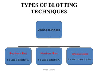 TYPES OF BLOTTING
TECHNIQUES
Blotting technique
Southern Blot
It is used to detect DNA.
Northern Blot
It is used to detect RNA.
Western blot
It is used to detect protein.
Umesh Goutam
 
