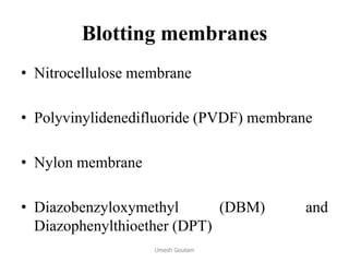Blotting membranes
• Nitrocellulose membrane
• Polyvinylidenedifluoride (PVDF) membrane
• Nylon membrane
• Diazobenzyloxymethyl (DBM) and
Diazophenylthioether (DPT)
Umesh Goutam
 