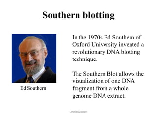 Ed Southern
In the 1970s Ed Southern of
Oxford University invented a
revolutionary DNA blotting
technique.
The Southern Blot allows the
visualization of one DNA
fragment from a whole
genome DNA extract.
Southern blotting
Umesh Goutam
 