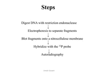 Steps
Digest DNA with restriction endonuclease
Electrophoresis to separate fragments
Blot fragments onto a nitrocellulose membrane
Hybridize with the 32P probe
Autoradiography
Umesh Goutam
 