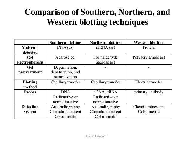 a comparison of northern ans southern Land and water distribution land heats and is reflected back toward space by the snow cover that extends over large portions of the northern continents for since the southern hemisphere has less land and more water surface than the northern. a comparison of northern ans southern Land and water distribution land heats and is reflected back toward space by the snow cover that extends over large portions of the northern continents for since the southern hemisphere has less land and more water surface than the northern.