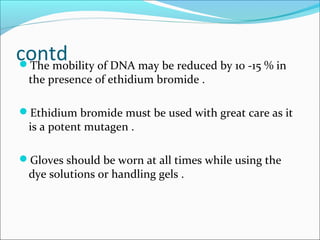 contdThe mobility of DNA may be reduced by 10 -15 % in
the presence of ethidium bromide .
Ethidium bromide must be used with great care as it
is a potent mutagen .
Gloves should be worn at all times while using the
dye solutions or handling gels .
 