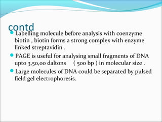 contdLabelling molecule before analysis with coenzyme
biotin , biotin forms a strong complex with enzyme
linked streptavidin .
PAGE is useful for analysing small fragments of DNA
upto 3,50,00 daltons ( 500 bp ) in molecular size .
Large molecules of DNA could be separated by pulsed
field gel electrophoresis.
 
