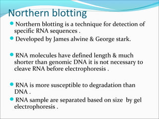 Northern blotting
Northern blotting is a technique for detection of
specific RNA sequences .
Developed by James alwine & George stark.
RNA molecules have defined length & much
shorter than genomic DNA it is not necessary to
cleave RNA before electrophoresis .
RNA is more susceptible to degradation than
DNA .
RNA sample are separated based on size by gel
electrophoresis .
 