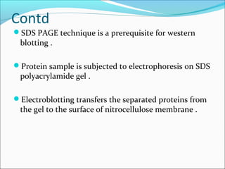 Contd
SDS PAGE technique is a prerequisite for western
blotting .
Protein sample is subjected to electrophoresis on SDS
polyacrylamide gel .
Electroblotting transfers the separated proteins from
the gel to the surface of nitrocellulose membrane .
 