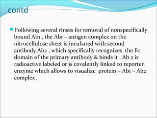 contd
Following several rinses for removal of nonspecifically
bound Ab1 , the Ab1 – antigen complex on the
nitrocellulose sheet is incubated with second
antibody Ab2 , which specifically recognizes the Fc
domain of the primary antibody & binds it . Ab 2 is
radioactive labeled or is covalently linked to reporter
enzyme which allows to visualize protein – Ab1 – Ab2
complex .
 