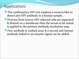 Applications
The confirmatory HIV test employs a western blot to
detect anti HIV antibody in a human sample .
Proteins from known HIV infected cells are separated
& blotted on a membrane then the serum to be tested
is applied in the primary antibody incubation step.
Free antibody is washed away & a second anti human
antibody linked to an enzyme signal can be added .
 