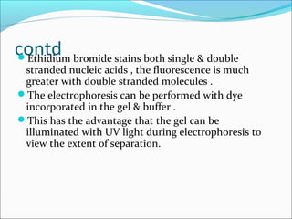 contdEthidium bromide stains both single & double
stranded nucleic acids , the fluorescence is much
greater with double stranded molecules .
The electrophoresis can be performed with dye
incorporated in the gel & buffer .
This has the advantage that the gel can be
illuminated with UV light during electrophoresis to
view the extent of separation.
 