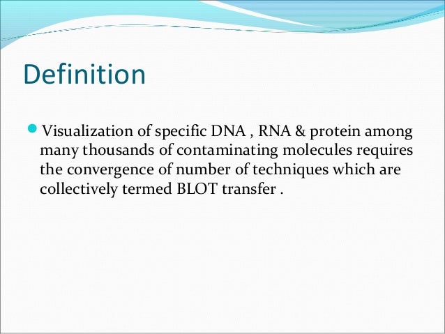 western blot definition western blot definition