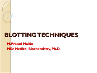 BLOTTINGTECHNIQUESBLOTTINGTECHNIQUES
M.Prasad Naidu
MSc Medical Biochemistry, Ph.D,.
 