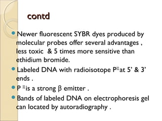 contdcontd
Newer fluorescent SYBR dyes produced by
molecular probes offer several advantages ,
less toxic & 5 times more sensitive than
ethidium bromide.
Labeled DNA with radioisotope P32
at 5’ & 3’
ends .
P 32
is a strong β emitter .
Bands of labeled DNA on electrophoresis gel
can located by autoradiography .
 