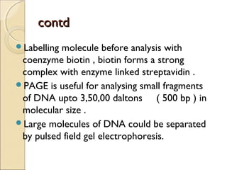 contdcontd
Labelling molecule before analysis with
coenzyme biotin , biotin forms a strong
complex with enzyme linked streptavidin .
PAGE is useful for analysing small fragments
of DNA upto 3,50,00 daltons ( 500 bp ) in
molecular size .
Large molecules of DNA could be separated
by pulsed field gel electrophoresis.
 