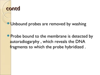 contdcontd
Unbound probes are removed by washing
Probe bound to the membrane is detected by
autoradiogarphy , which reveals the DNA
fragments to which the probe hybridized .
 