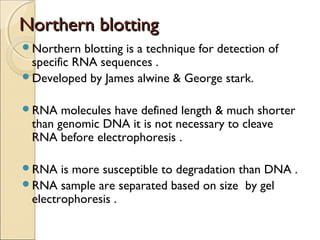 Northern blottingNorthern blotting
Northern blotting is a technique for detection of
specific RNA sequences .
Developed by James alwine & George stark.
RNA molecules have defined length & much shorter
than genomic DNA it is not necessary to cleave
RNA before electrophoresis .
RNA is more susceptible to degradation than DNA .
RNA sample are separated based on size by gel
electrophoresis .
 