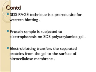 ContdContd
SDS PAGE technique is a prerequisite for
western blotting .
Protein sample is subjected to
electrophoresis on SDS polyacrylamide gel .
Electroblotting transfers the separated
proteins from the gel to the surface of
nitrocellulose membrane .
 