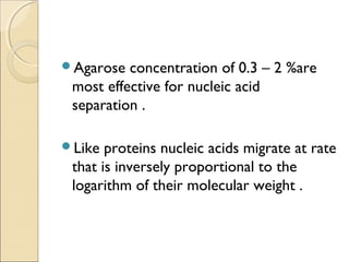 Agarose concentration of 0.3 – 2 %are
most effective for nucleic acid
separation .
Like proteins nucleic acids migrate at rate
that is inversely proportional to the
logarithm of their molecular weight .
 
