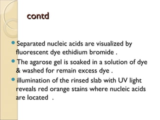 contdcontd
Separated nucleic acids are visualized by
fluorescent dye ethidium bromide .
The agarose gel is soaked in a solution of dye
& washed for remain excess dye .
illumination of the rinsed slab with UV light
reveals red orange stains where nucleic acids
are located .
 